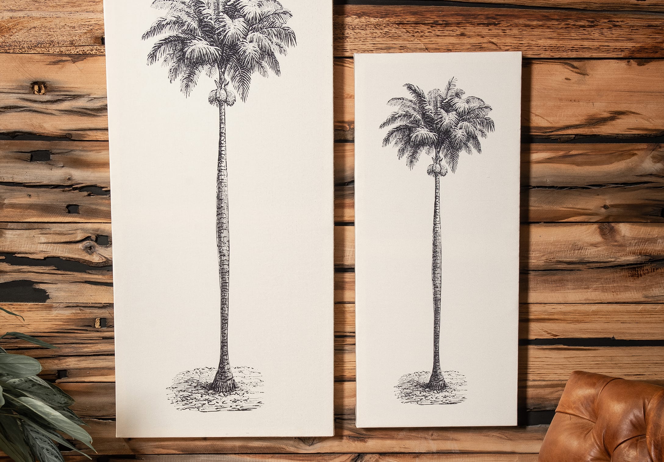 Serie Jungle Collection