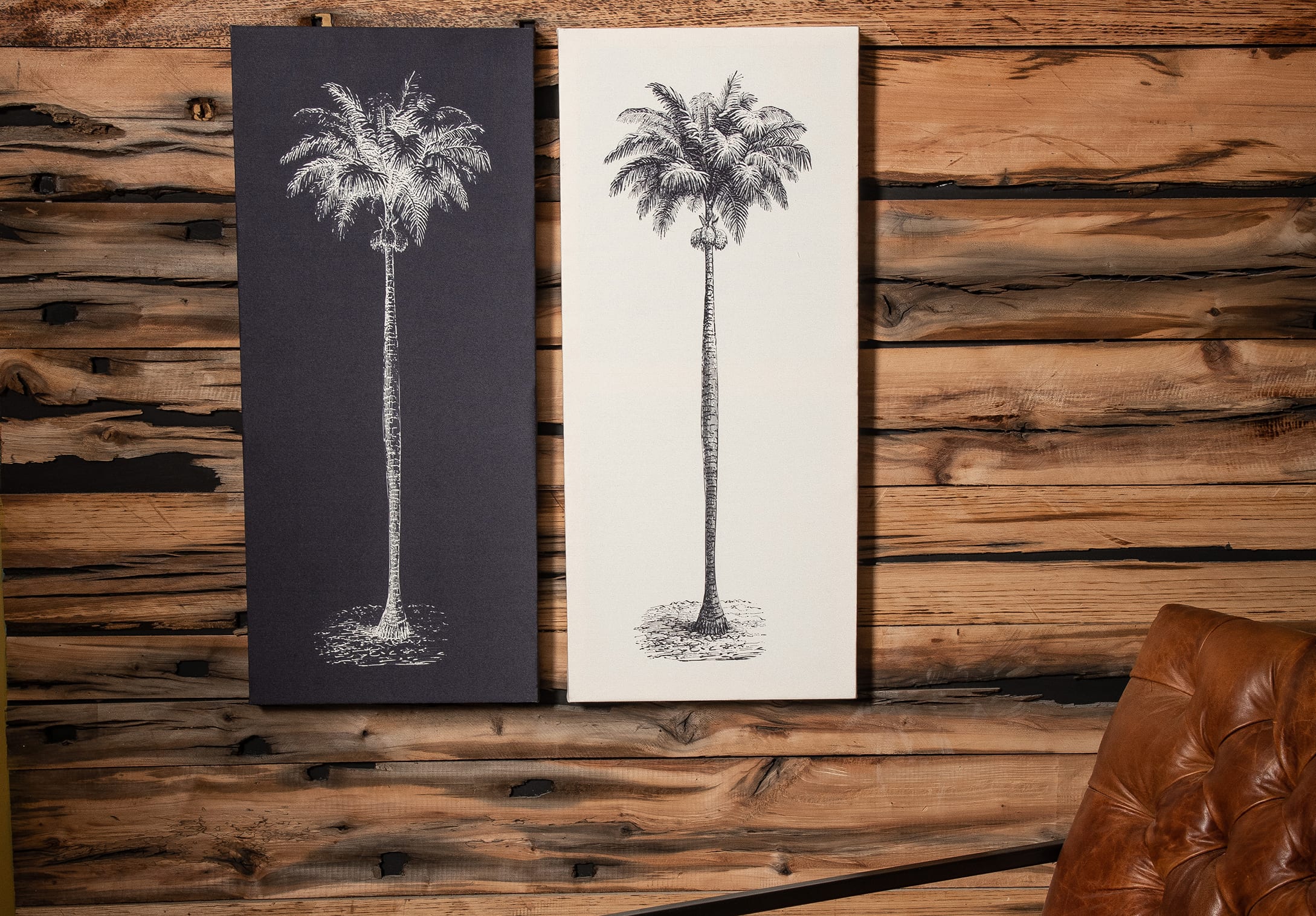 Serie Jungle Collection