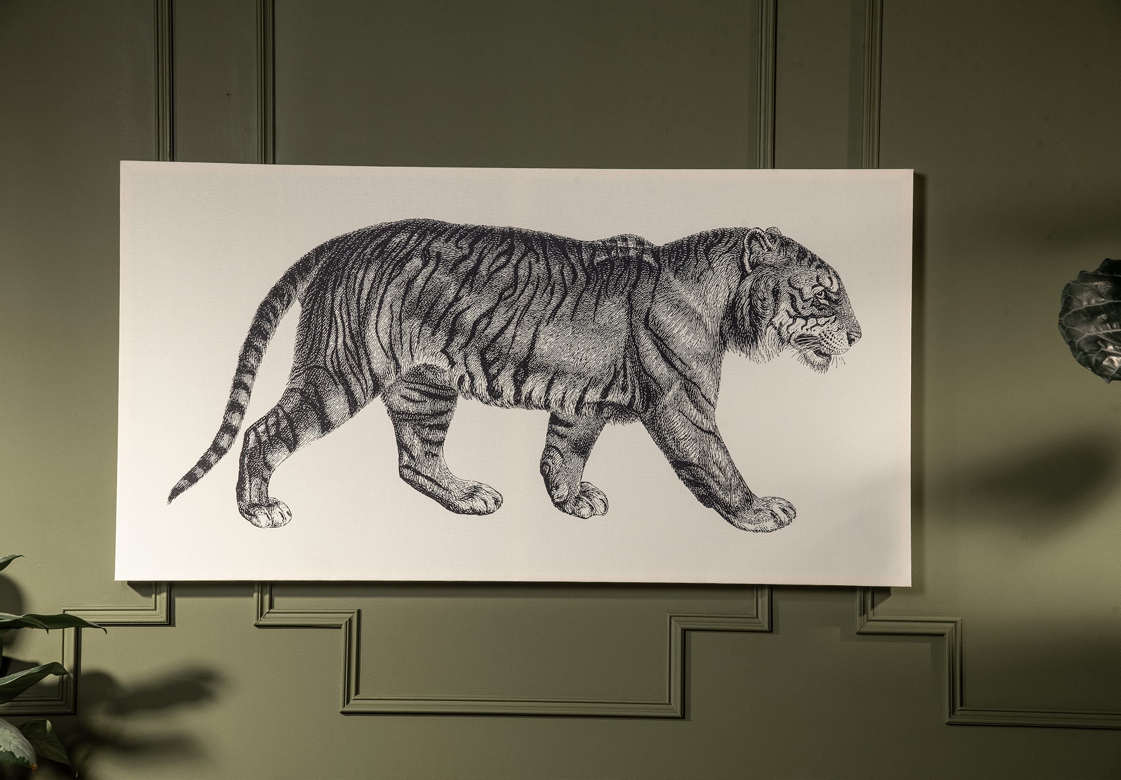 Serie Jungle Collection