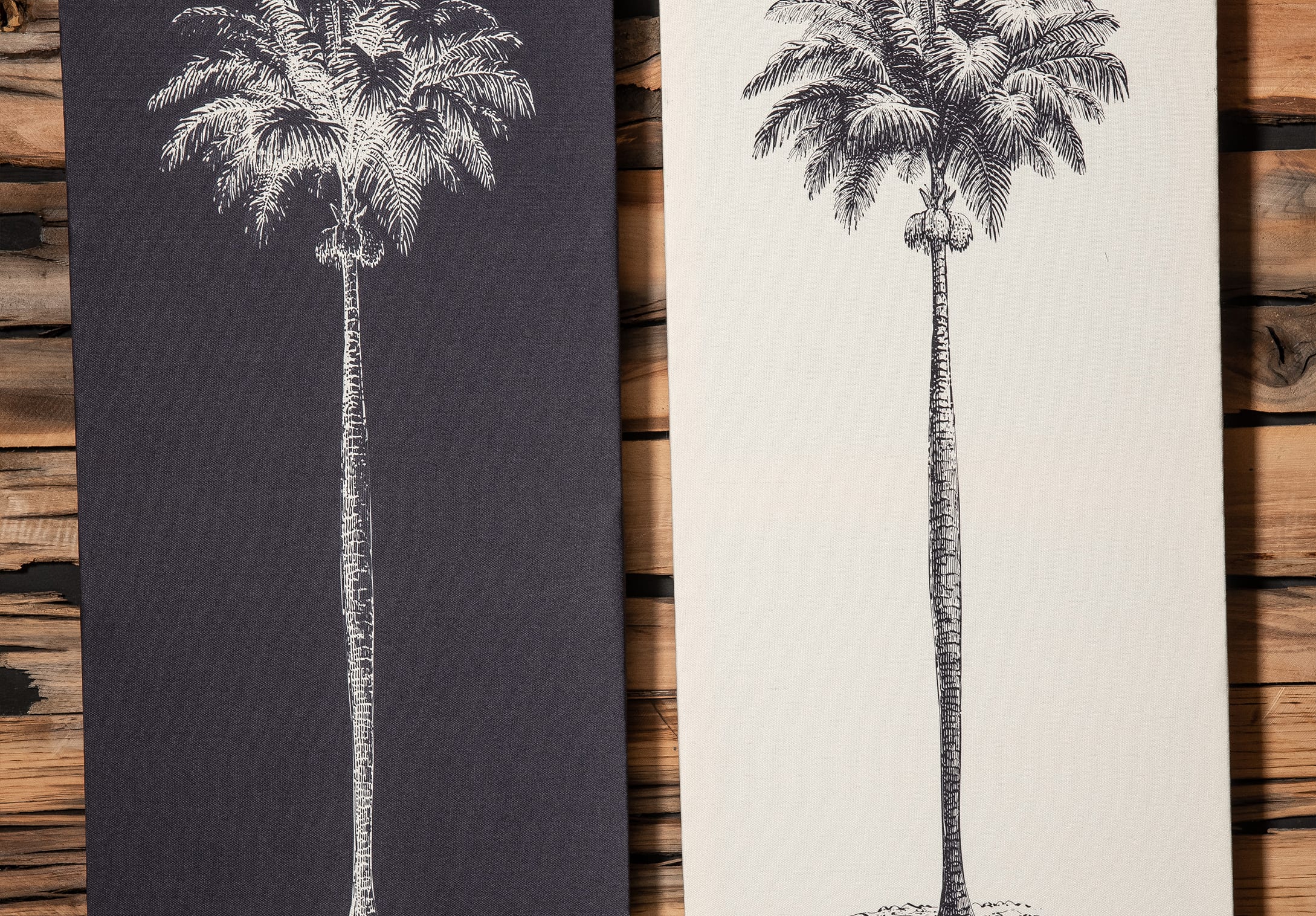 Serie Jungle Collection