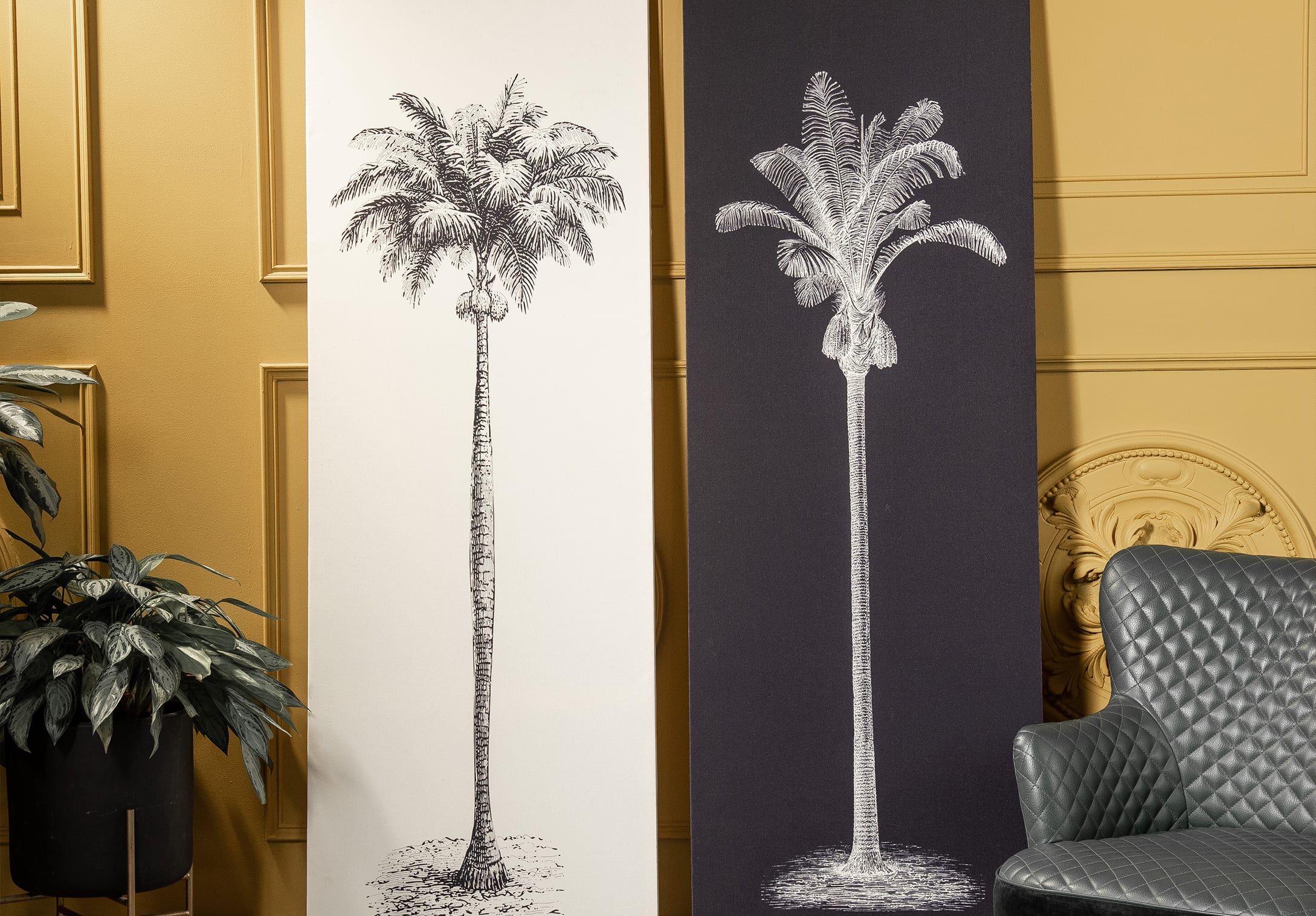 Serie Jungle Collection