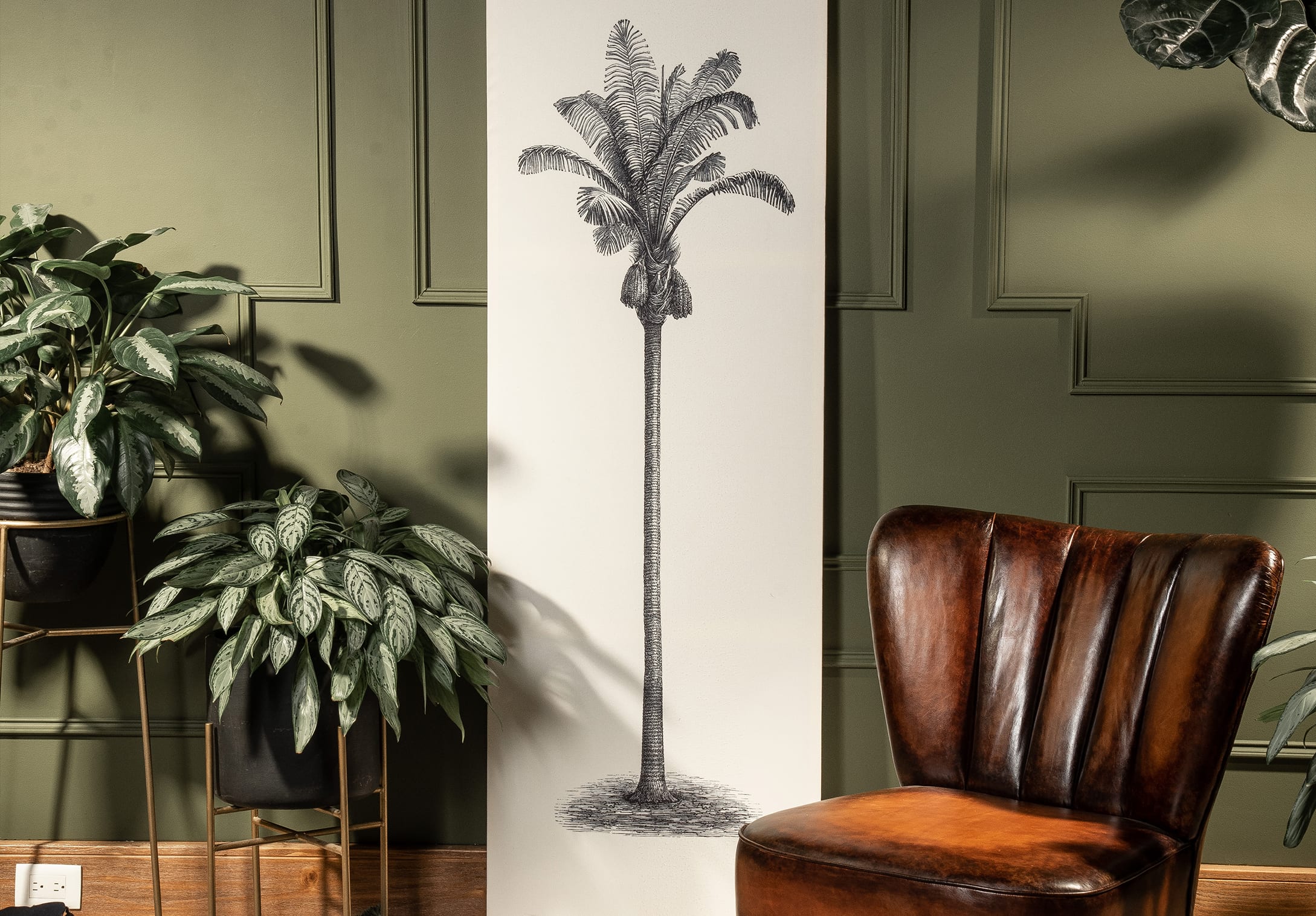 Serie Jungle Collection