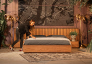 Cama Castello
