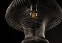 Amanista Amphora