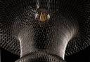 Amanista Amphora