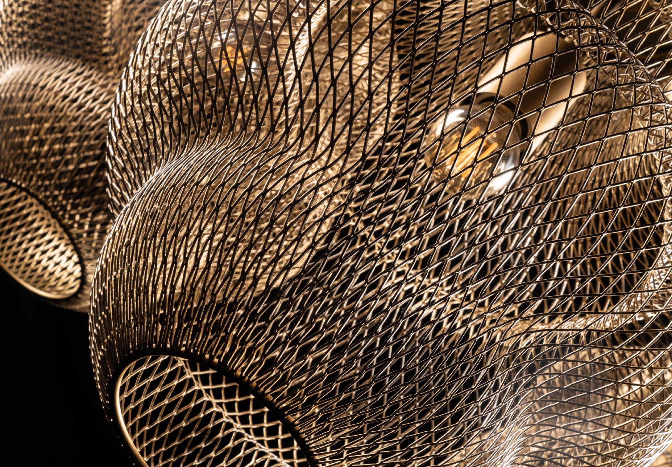 Golden Amphora