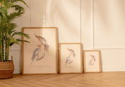 Arte Decorativo Cacatúa