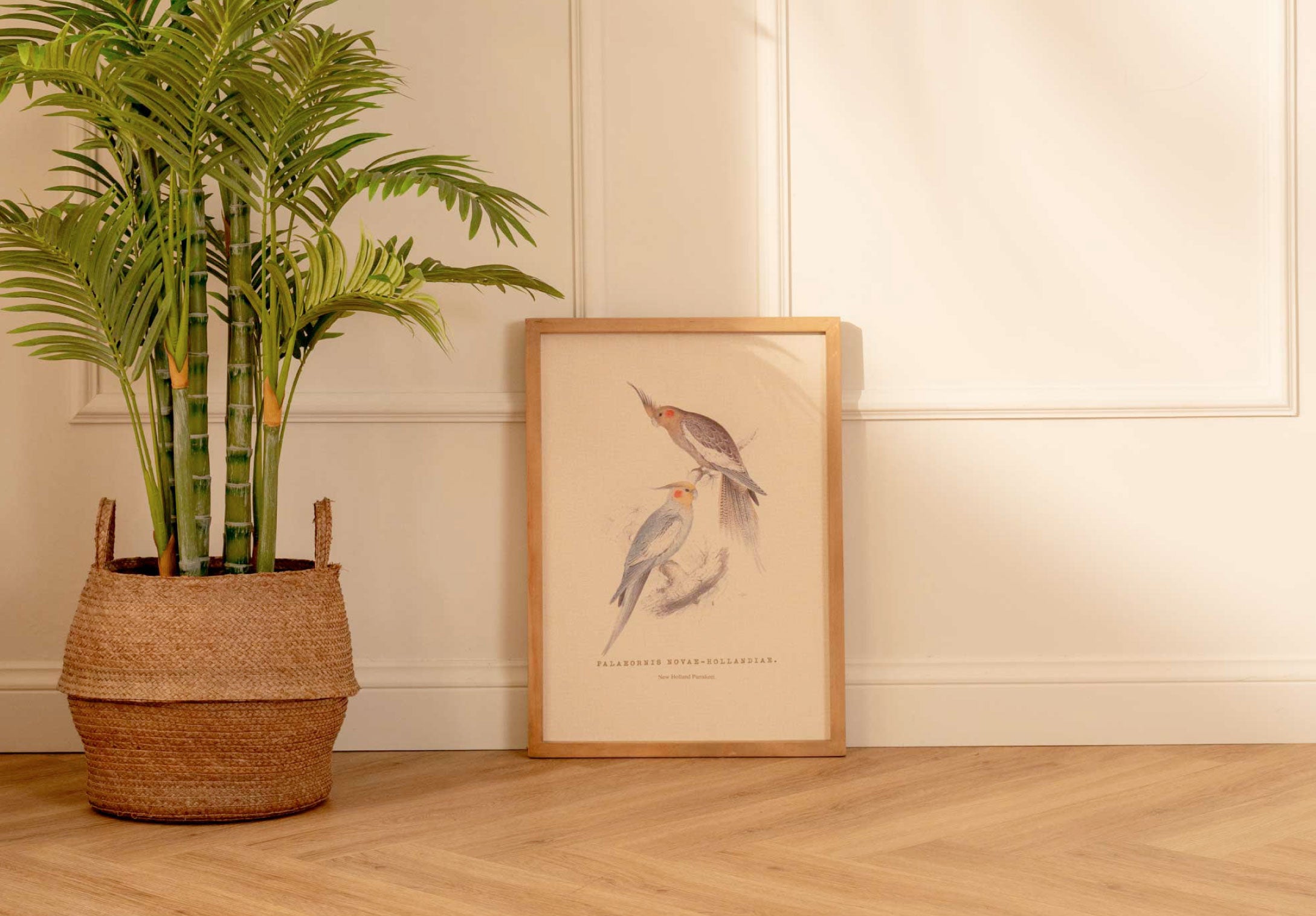 Arte Decorativo Cacatúa