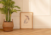 Arte Decorativo Cacatúa