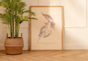 Arte Decorativo Cacatúa