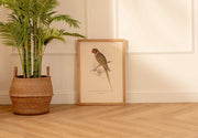Arte Decorativo Loro Verde