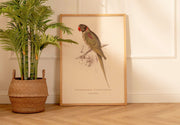 Arte Decorativo Loro Verde