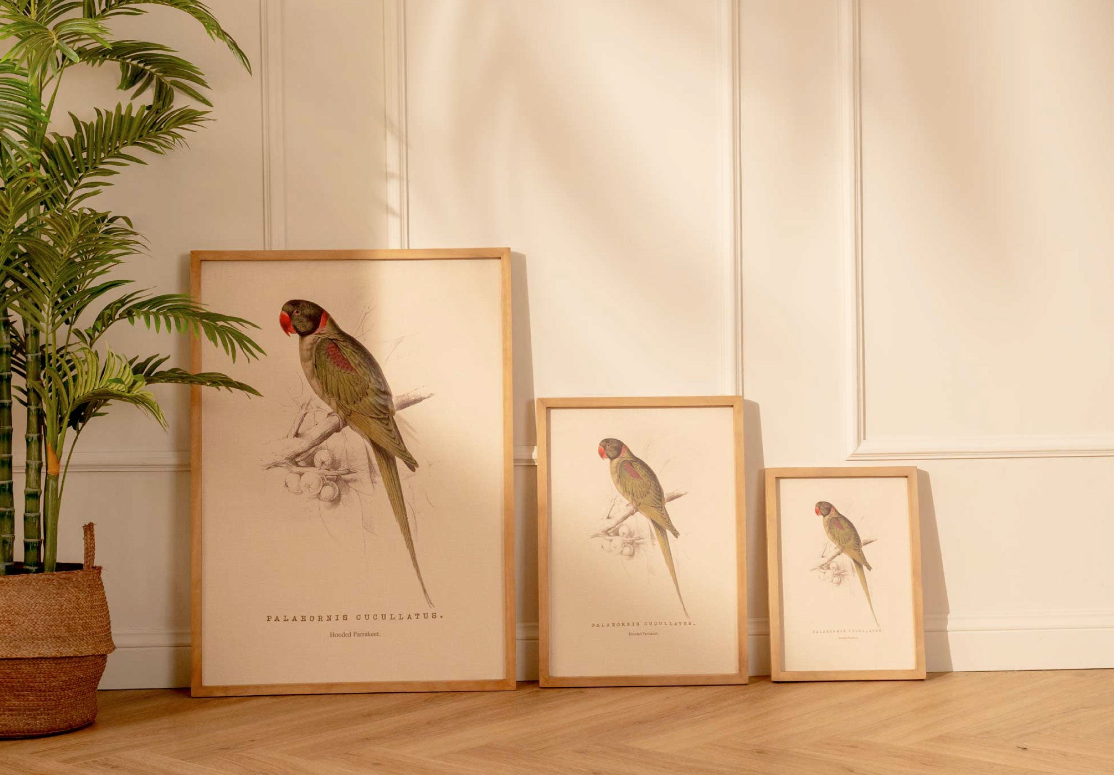 Arte Decorativo Loro Verde