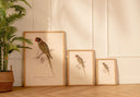 Arte Decorativo Loro Verde