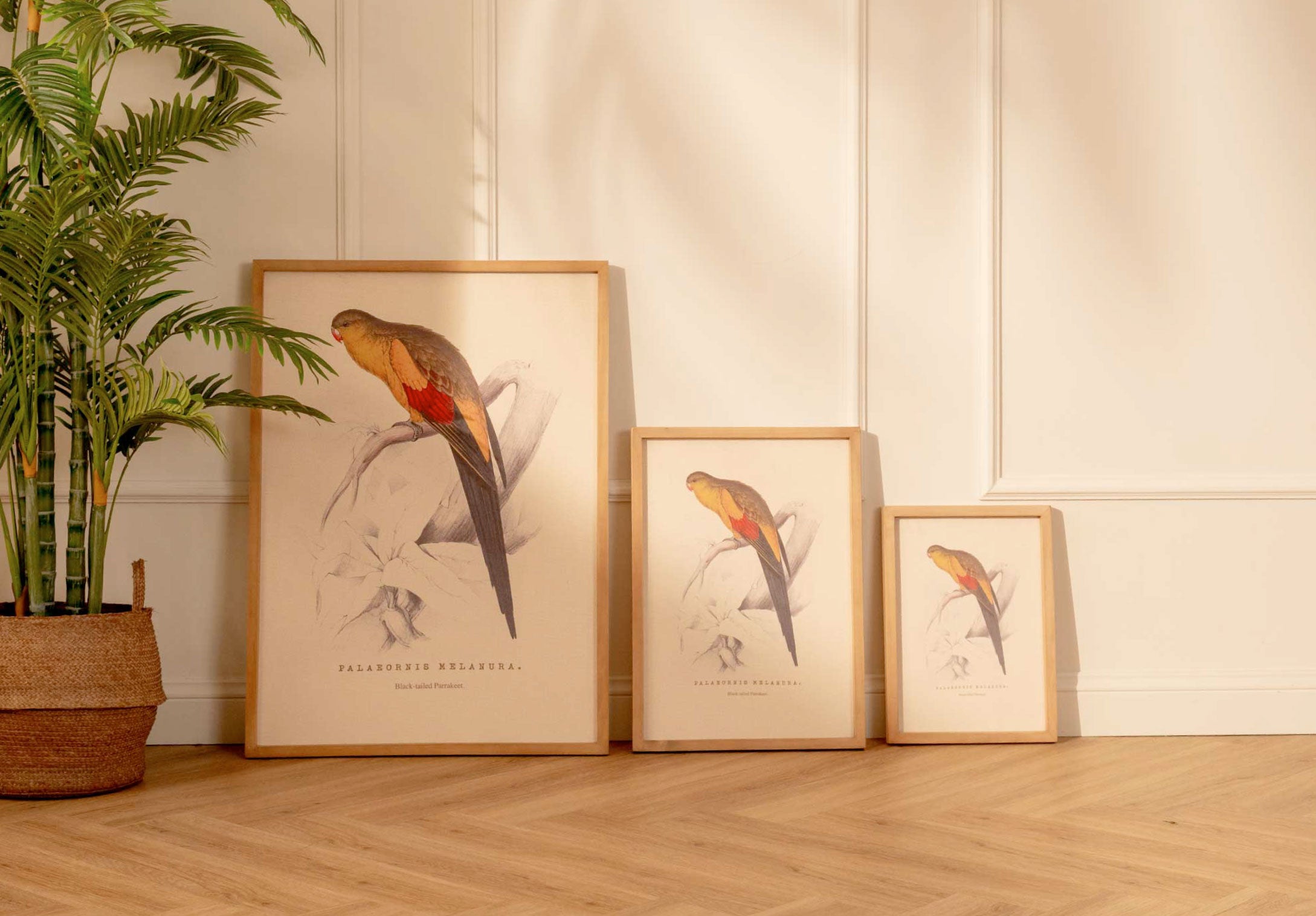 Arte Decorativo Perico Amarillo y Rojo