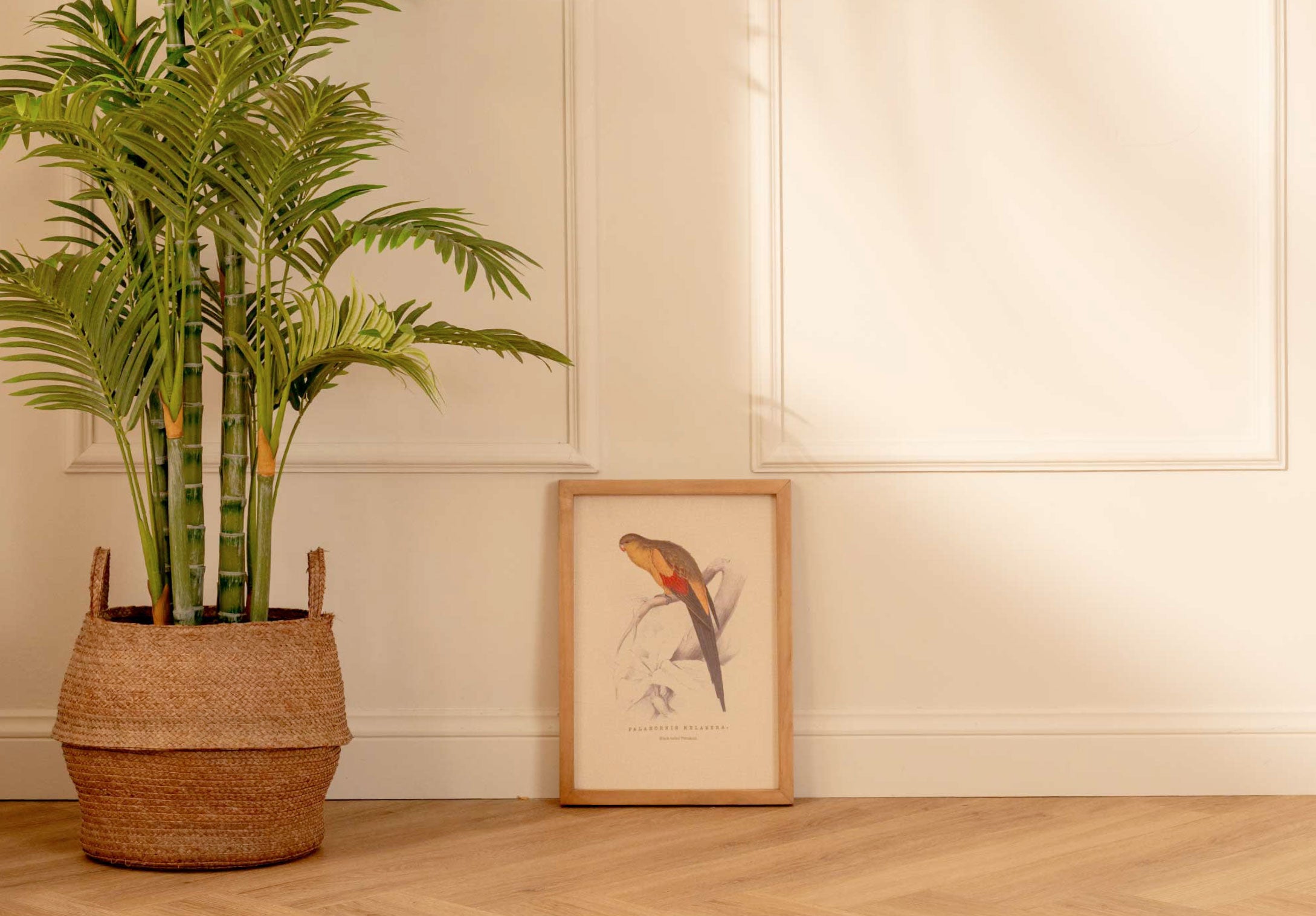 Arte Decorativo Perico Amarillo y Rojo
