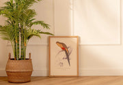 Arte Decorativo Perico Amarillo y Rojo