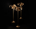 Golden Palm