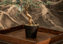 Producto para sala mesa auxiliar ferrara 3house