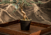 Producto para sala mesa auxiliar ferrara 3house